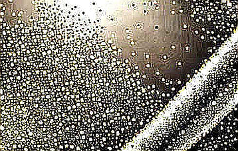 The $100M Illusion: How Governance Token Inflation Masks Centralization in L2 Ecosystems
