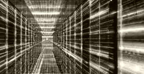 The Empty Ledger: When a Crypto Analysis Returns Nothing The Empty Ledger: When a Crypto Analysis Returns Nothing