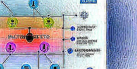 The AI Application Software Rotation: A Signal from the Crypto Capital Crossroads The AI Application Software Rotation: A Signal from the Crypto Capital Crossroads
